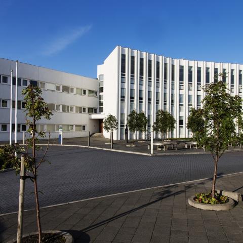 Oddi